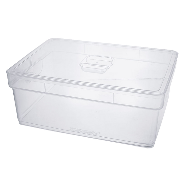 Caixa organizadora Flat com tampa Nitron 10,3L