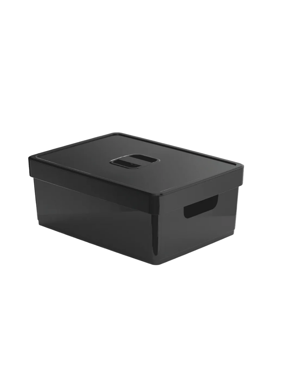 Caixa organizadora Flat com tampa Nitron 10,3L
