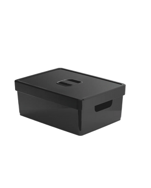 Caixa organizadora Flat com tampa Nitron 10,3L