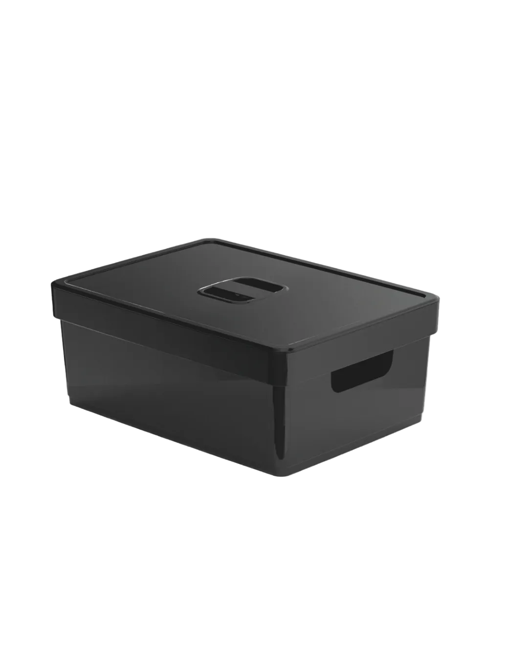 Caixa organizadora Flat com tampa Nitron 10,3L