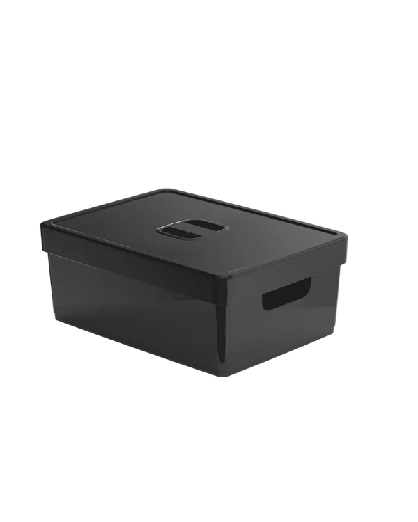 Caixa organizadora Flat com tampa Nitron 10,3L